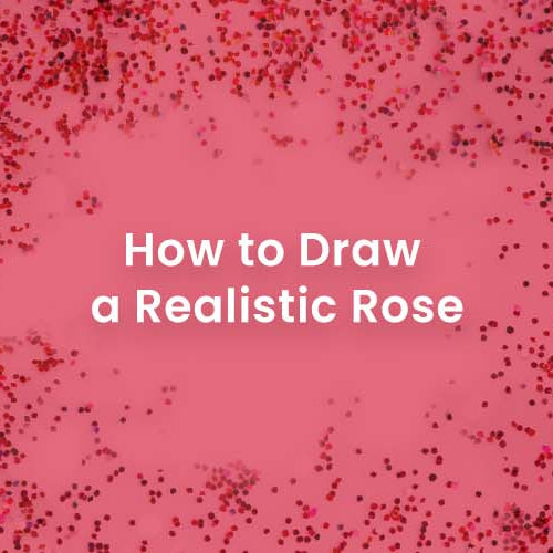 How to Draw a Realistic Rose