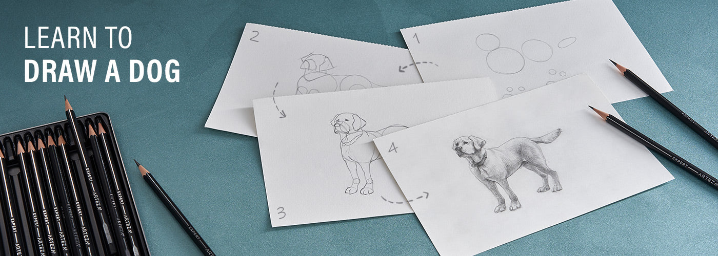 How to Draw a Dog in 4 Easy Steps