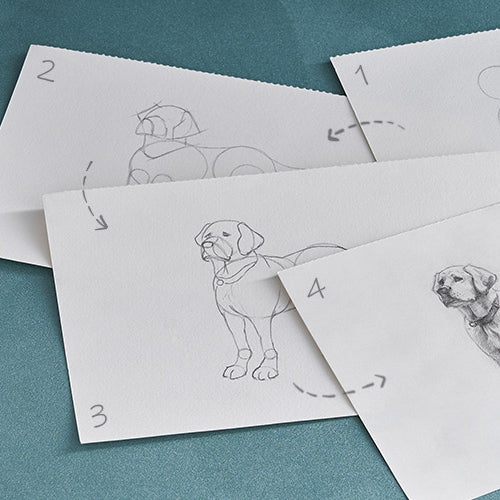 How to Draw a Dog in 4 Easy Steps