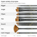 Types of Acrylic and Oil Paint Brushes