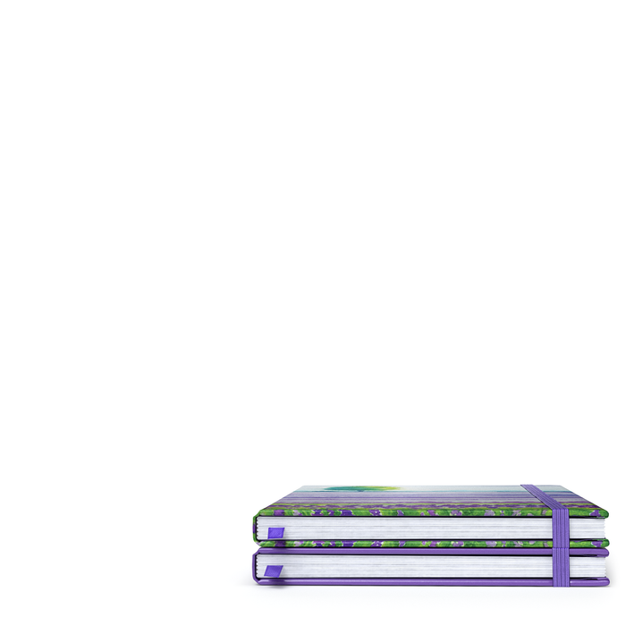 Journals, Lavender Field Design, Lined Paper - Pack of 2