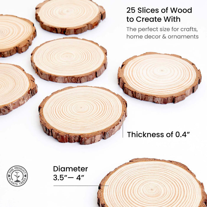 Medium Wood Slices - Set of 25
