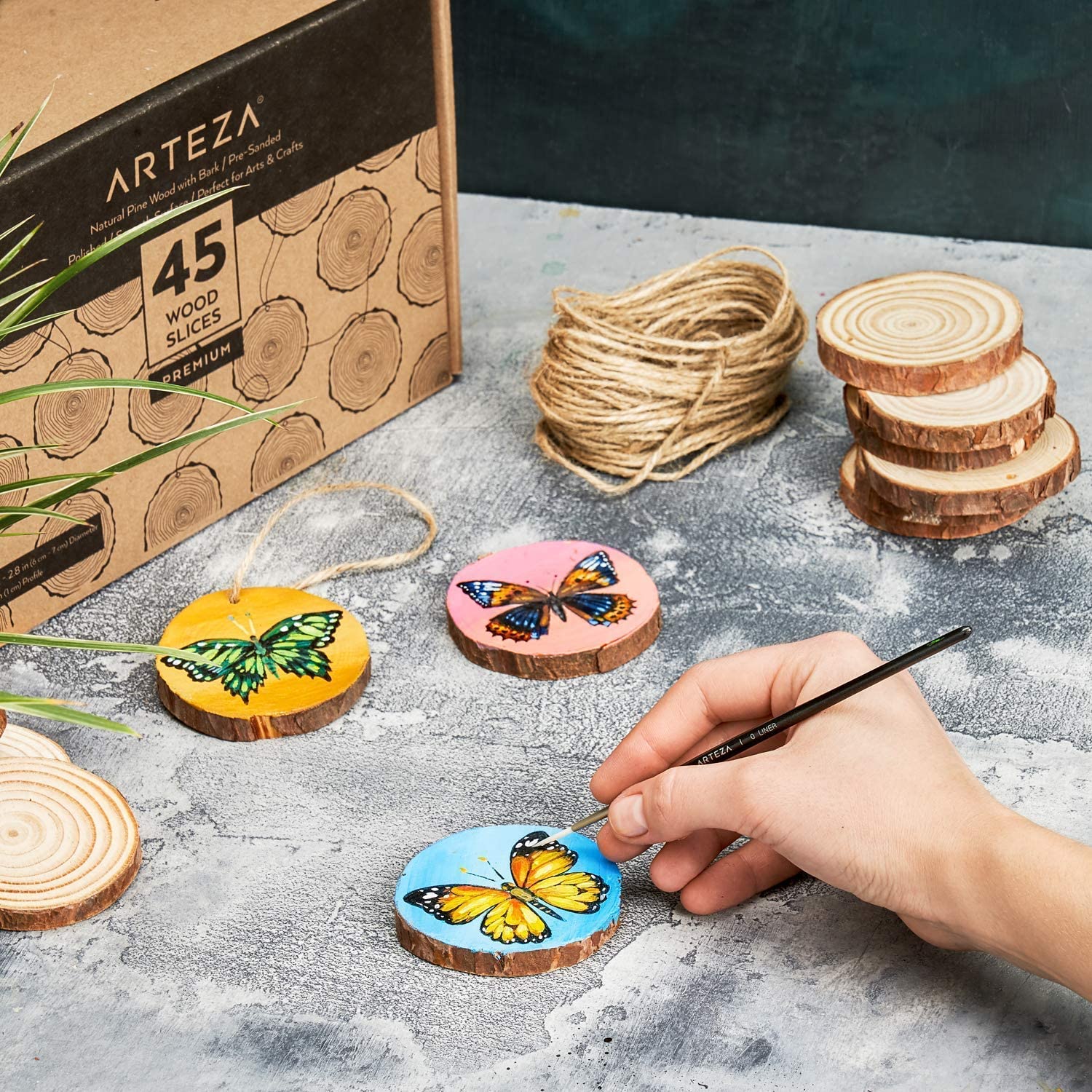 Wood Slices - Set of 45