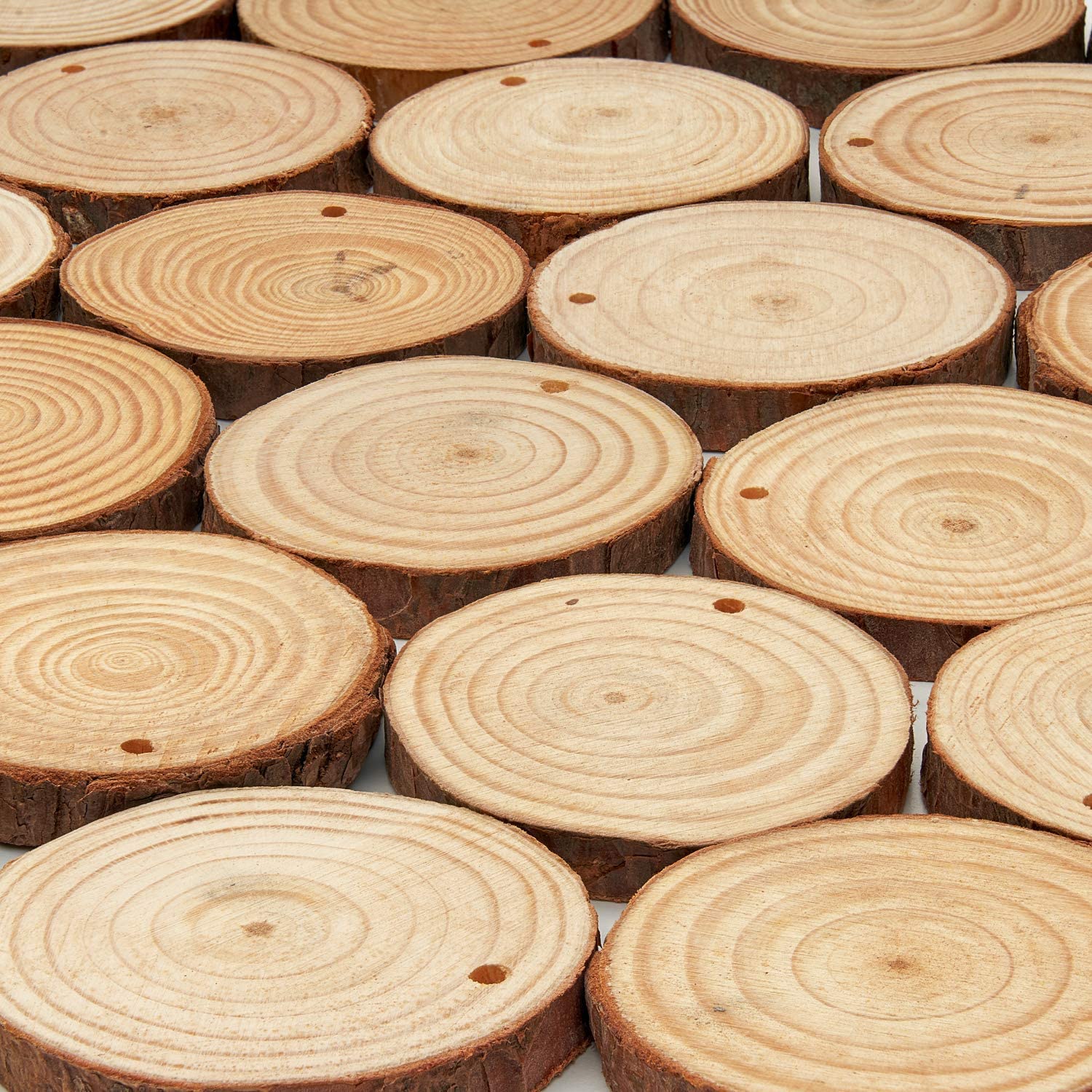 Wood Slices - Set of 45